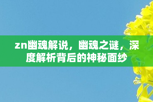 zn幽魂解说，幽魂之谜，深度解析背后的神秘面纱