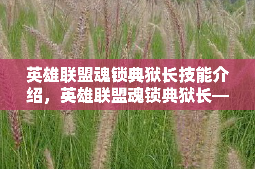 英雄联盟魂锁典狱长技能介绍，英雄联盟魂锁典狱长—揭秘游戏中的独特英雄