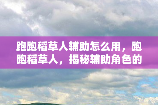 跑跑稻草人辅助怎么用，跑跑稻草人，揭秘辅助角色的魅力与策略