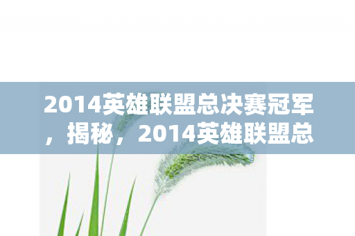 2014英雄联盟总决赛冠军，揭秘，2014英雄联盟总决赛背后的故事与传奇英雄