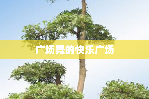 广场舞的快乐广场