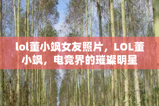 lol董小飒女友照片，LOL董小飒，电竞界的璀璨明星