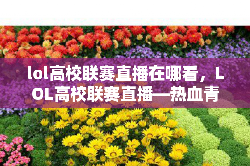 lol高校联赛直播在哪看，LOL高校联赛直播—热血青春，尽在指尖