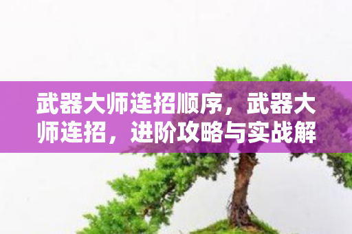 武器大师连招顺序，武器大师连招，进阶攻略与实战解析
