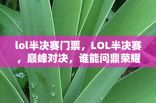 lol半决赛门票，LOL半决赛，巅峰对决，谁能问鼎荣耀之巅？