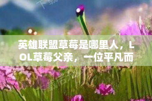 英雄联盟草莓是哪里人，LOL草莓父亲，一位平凡而伟大的父爱