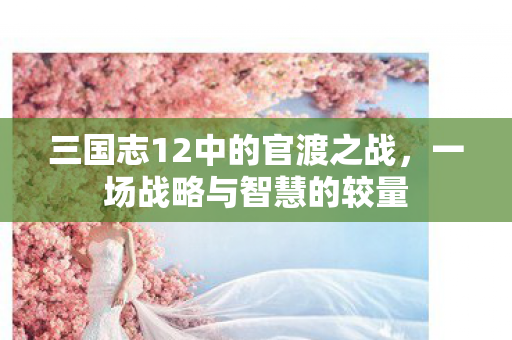 三国志12中的官渡之战，一场战略与智慧的较量