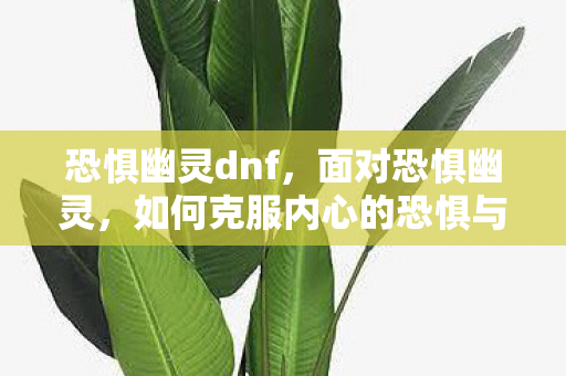 恐惧幽灵dnf，面对恐惧幽灵，如何克服内心的恐惧与不安