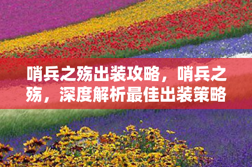 哨兵之殇出装攻略，哨兵之殇，深度解析最佳出装策略