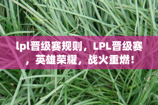 lpl晋级赛规则，LPL晋级赛，英雄荣耀，战火重燃！