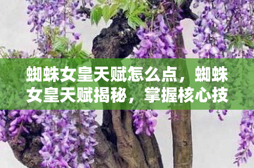 蜘蛛女皇天赋怎么点，蜘蛛女皇天赋揭秘，掌握核心技能，成为游戏高手