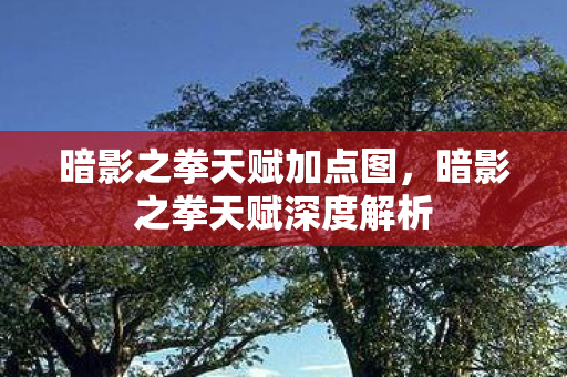 暗影之拳天赋加点图，暗影之拳天赋深度解析