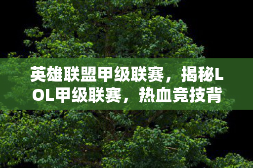 英雄联盟甲级联赛，揭秘LOL甲级联赛，热血竞技背后的故事