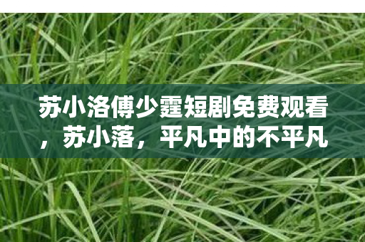 苏小洛傅少霆短剧免费观看，苏小落，平凡中的不平凡