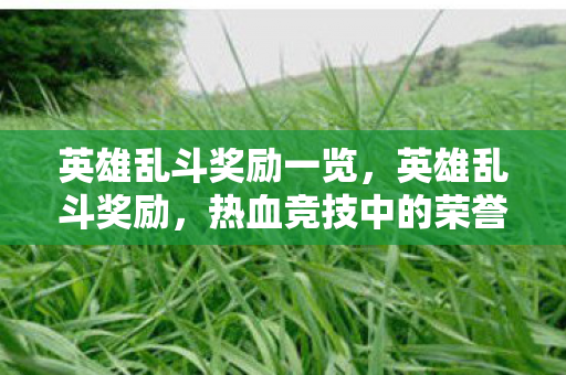 英雄乱斗奖励一览，英雄乱斗奖励，热血竞技中的荣誉与收获