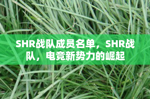SHR战队成员名单，SHR战队，电竞新势力的崛起