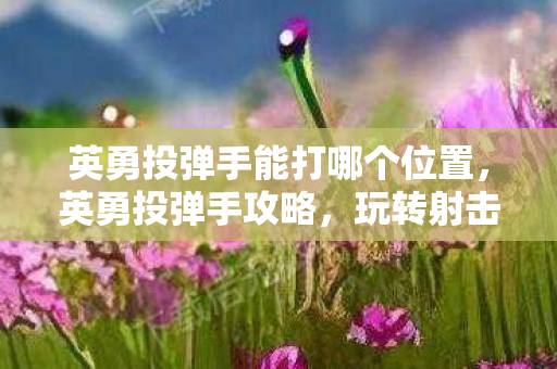 英勇投弹手能打哪个位置，英勇投弹手攻略，玩转射击游戏的新篇章