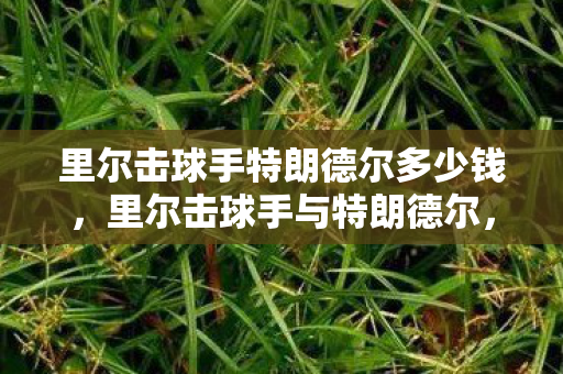 里尔击球手特朗德尔多少钱，里尔击球手与特朗德尔，一场独特的对决