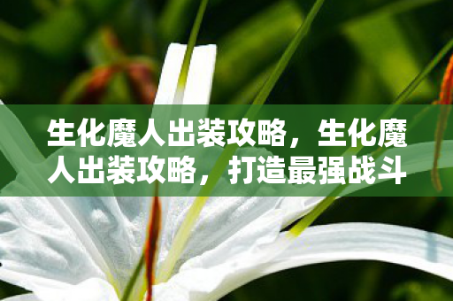 生化魔人出装攻略，生化魔人出装攻略，打造最强战斗装备