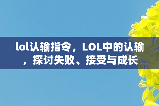 lol认输指令，LOL中的认输，探讨失败、接受与成长