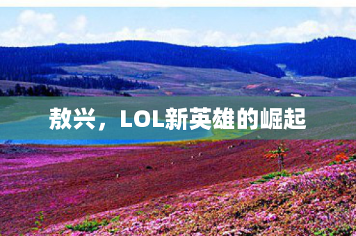 敖兴，LOL新英雄的崛起