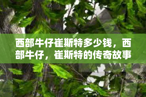 西部牛仔崔斯特多少钱，西部牛仔，崔斯特的传奇故事
