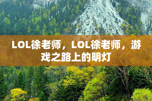 LOL徐老师，LOL徐老师，游戏之路上的明灯