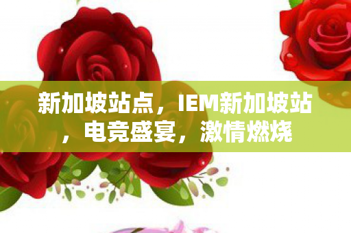 新加坡站点，IEM新加坡站，电竞盛宴，激情燃烧