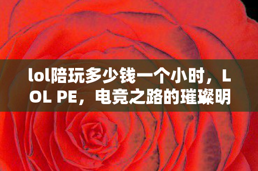 lol陪玩多少钱一个小时，LOL PE，电竞之路的璀璨明珠
