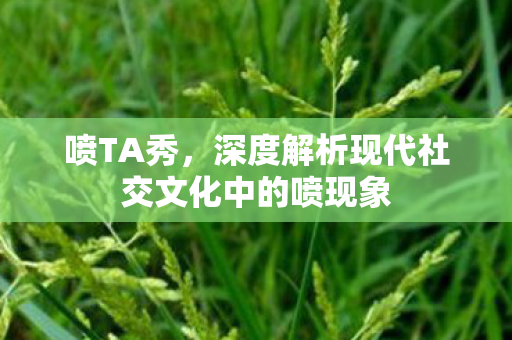 喷TA秀，深度解析现代社交文化中的喷现象