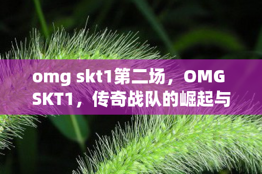 omg skt1第二场，OMG SKT1，传奇战队的崛起与荣光岁月