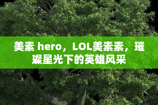 美素 hero，LOL美素素，璀璨星光下的英雄风采