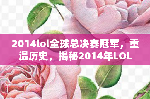 2014lol全球总决赛冠军，重温历史，揭秘2014年LOL全球总决赛的辉煌时刻与背后故事