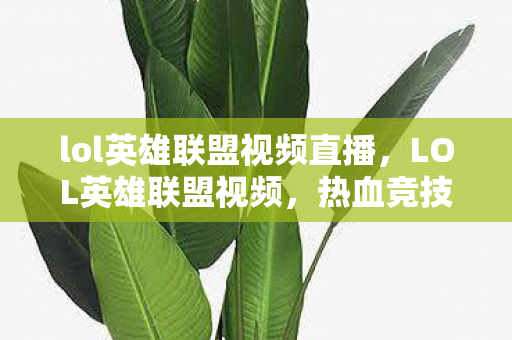 lol英雄联盟视频直播，LOL英雄联盟视频，热血竞技的视觉盛宴