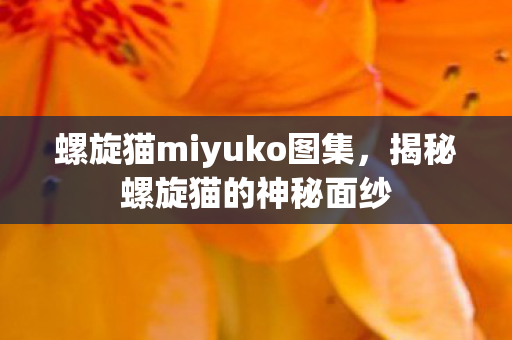 螺旋猫miyuko图集，揭秘螺旋猫的神秘面纱