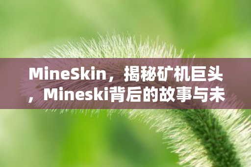 MineSkin，揭秘矿机巨头，Mineski背后的故事与未来展望
