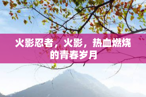 火影忍者，火影，热血燃烧的青春岁月