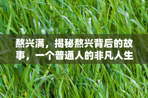 熬兴满，揭秘熬兴背后的故事，一个普通人的非凡人生旅程