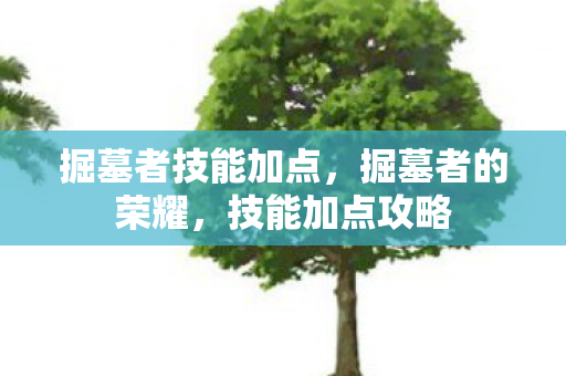 掘墓者技能加点，掘墓者的荣耀，技能加点攻略