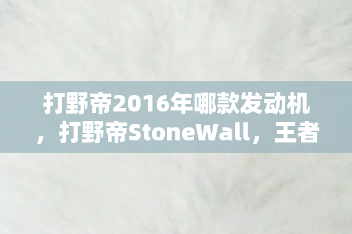 打野帝2016年哪款发动机，打野帝StoneWall，王者之路的无畏先锋