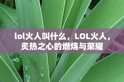 lol火人叫什么，LOL火人，炙热之心的燃烧与荣耀