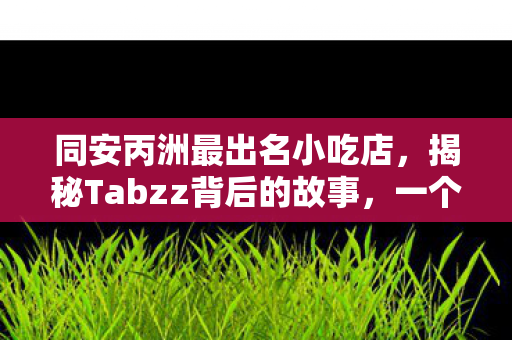 同安丙洲最出名小吃店，揭秘Tabzz背后的故事，一个普通名字背后的非凡历程