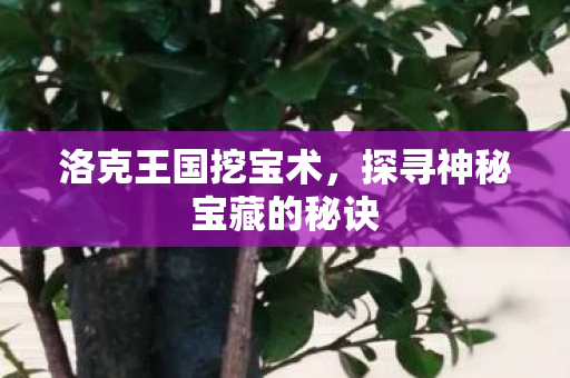 洛克王国挖宝术，探寻神秘宝藏的秘诀