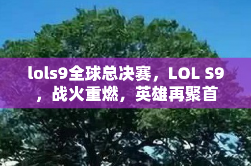 lols9全球总决赛，LOL S9，战火重燃，英雄再聚首