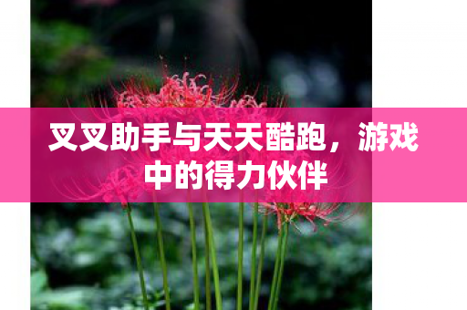 叉叉助手与天天酷跑，游戏中的得力伙伴