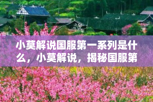小莫解说国服第一系列是什么，小莫解说，揭秘国服第一系列