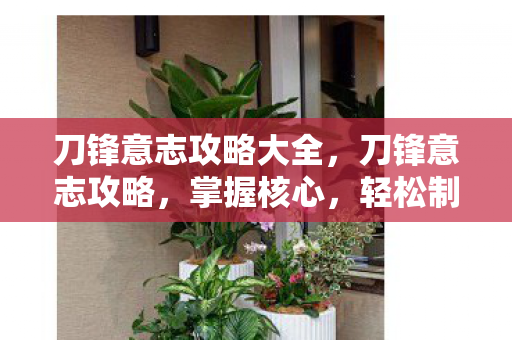 刀锋意志攻略大全，刀锋意志攻略，掌握核心，轻松制胜