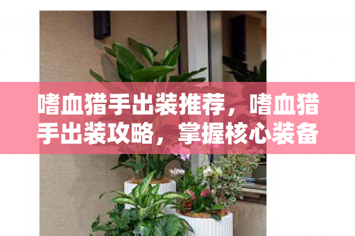 嗜血猎手出装推荐，嗜血猎手出装攻略，掌握核心装备，轻松上分