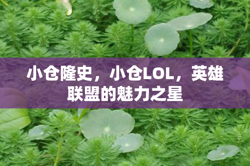 小仓隆史，小仓LOL，英雄联盟的魅力之星