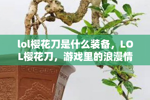 lol樱花刀是什么装备，LOL樱花刀，游戏里的浪漫情怀与独特魅力